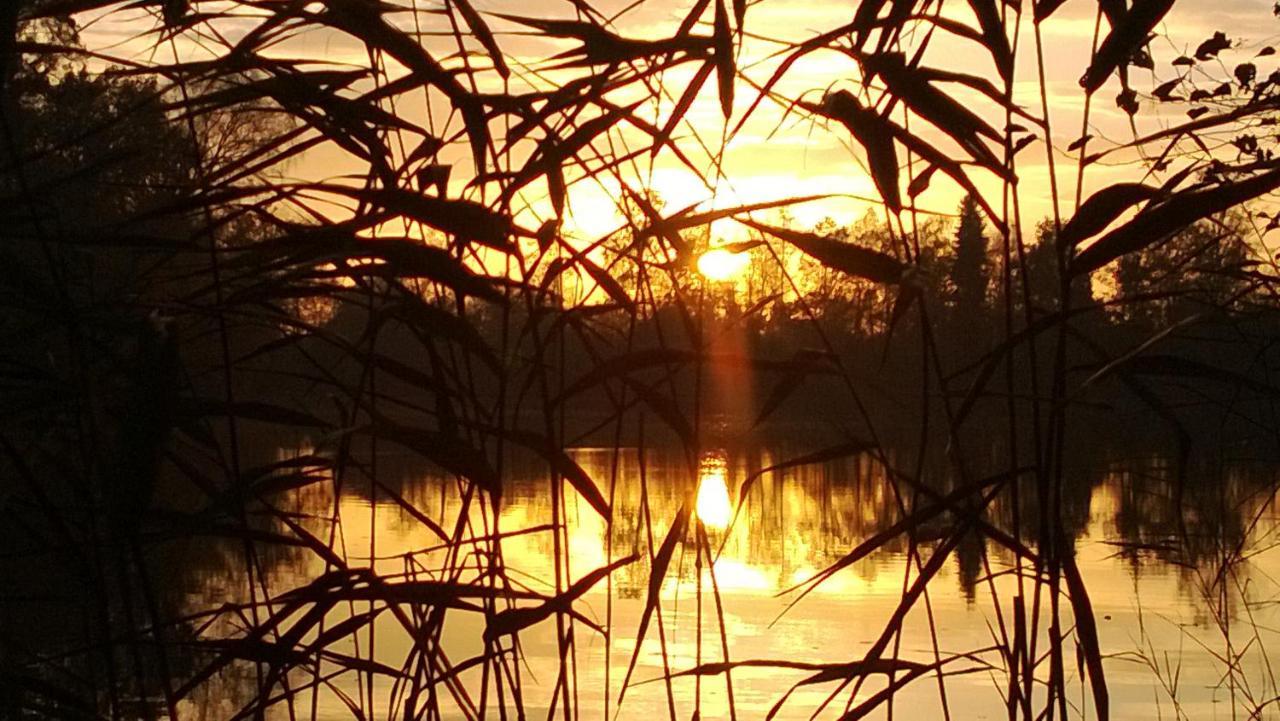 La Maison Du Lac Cul-des-Sarts ภายนอก รูปภาพ