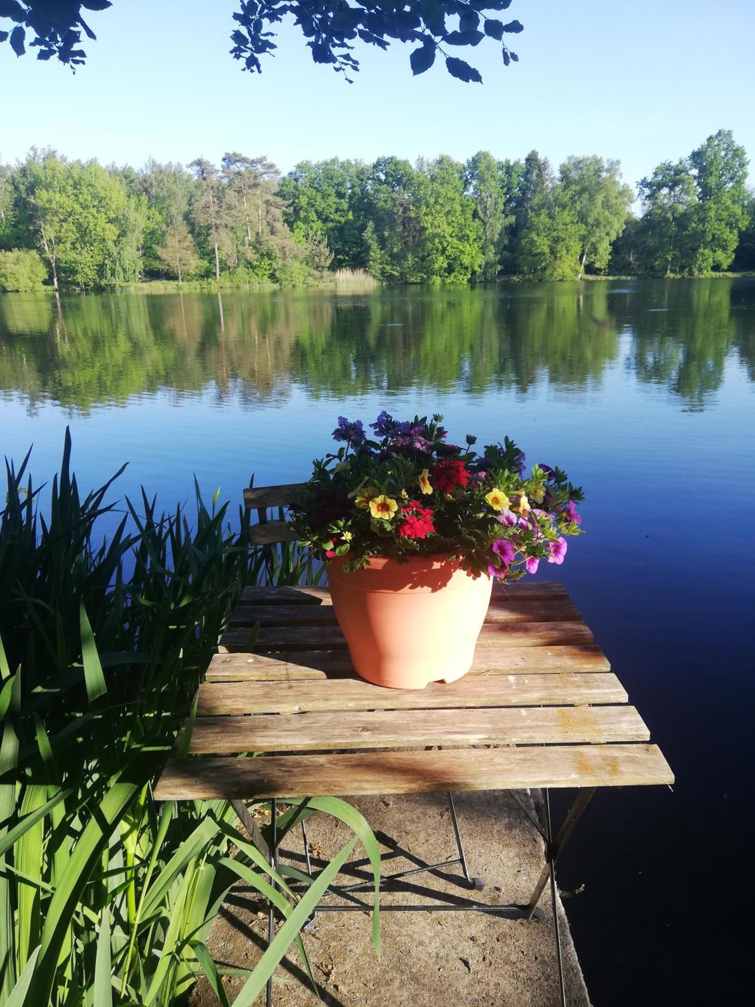 La Maison Du Lac Cul-des-Sarts ภายนอก รูปภาพ